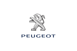 Zariadenie vozidiel pre Peugeot